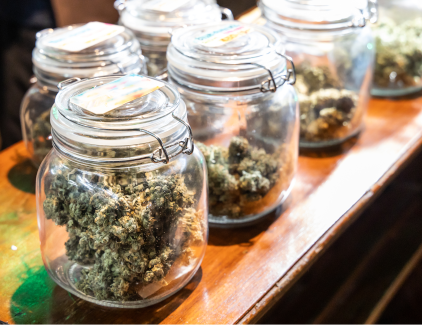 Sealed jars filled with fresh cannabis displayed on a countertop—ideal dispensary setting for Ignite ATM's cashless ATM solutions.
